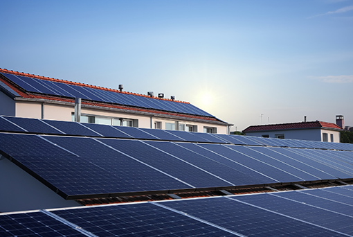 亚星在线手机版下载